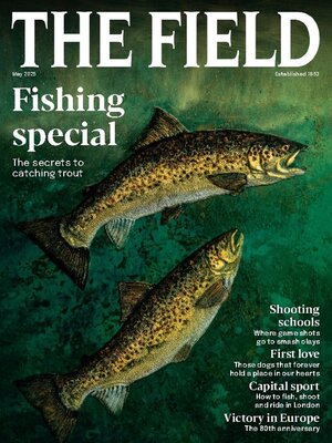 cover image of The Field